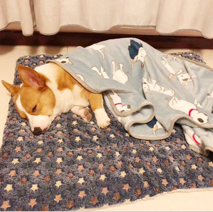 🐶✅Flannel Pet Sleeping Mat for Dogs and Cats🥰👍