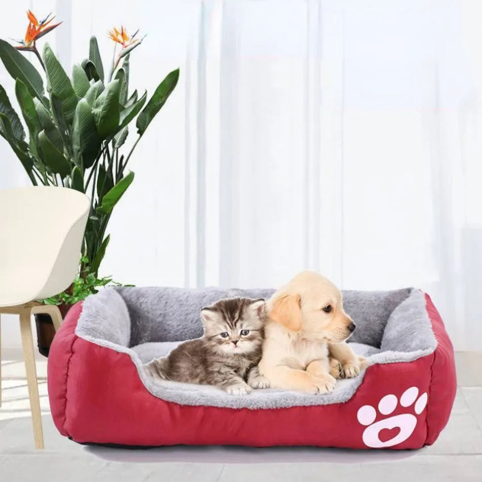 Dog and Cat Lying on Large Plush Bed Soft snuggle