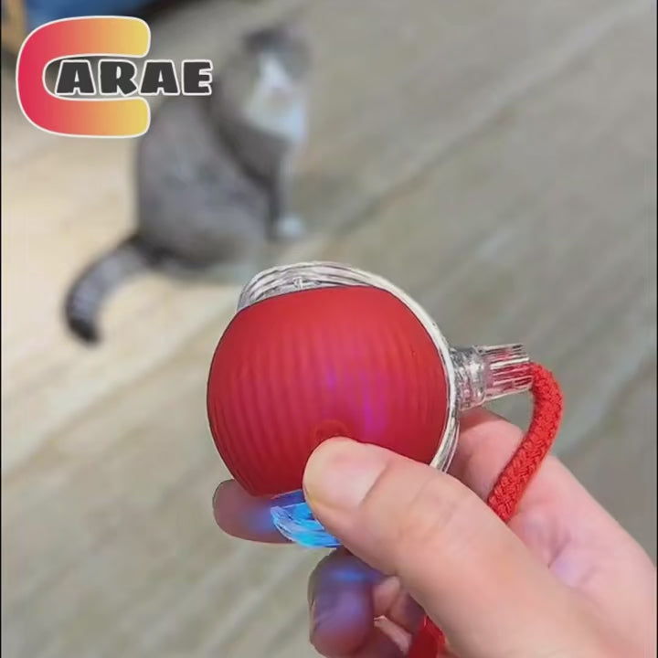 Interactive Cat & Dog Toy Ball with Tail Softsnuggle